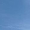 nopalsky6