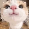 clxoee3vr