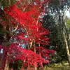 lakwatsapamore