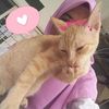 rasanah.remli