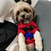 kissestobysugar22