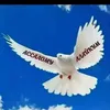 dyhg74it4s10