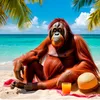 monkey88005553535