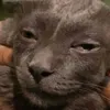 mirakxgodd