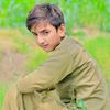shobidogar001