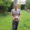 joseptortuga