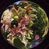 lan_2222