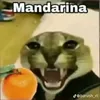 martina.abril123