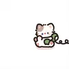k.lnhh