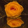 shamsulislam0357972