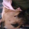 anamariamarinoliv