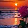 ismael_shek