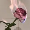 pk__r_