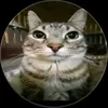 conner_3120