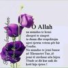 aishe111111