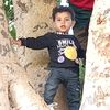 user1306501491019