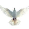 dyoh5mvuvhy3