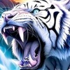 tigerzone13