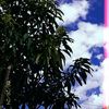 monicaoctr_310