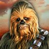 chewbacca636