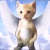 nomiresmislaiks6