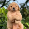 nguyenanhtuan04092001
