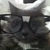 khdepnhungchoigamedo