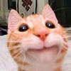 andre_eeaaaa