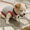 imjamm05