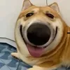minhhoang27460