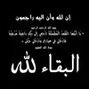 user8tu1e3jnw