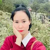 phuongbee291