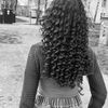 443lizi