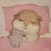 kyxzs_.zlin