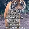 mrong5