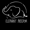 Elephant Freedom