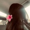 siapabae_1