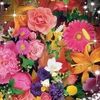 samah.aout