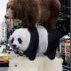 egor_3285