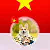 minhphung490