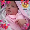 farahhamlawi6