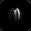 shaikhzadi149