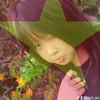 bch.au