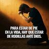 geras