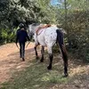 gabybou_25