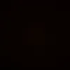 tulus_025