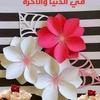 abouhaitham6