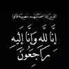 salehe254