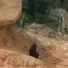 panglima_hitam6