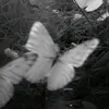 nar10_5